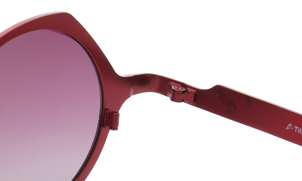 Carmen | Polarized Pure Titanium Unisex Sunglasses | Fashionable Full Rim Frame w/ Polarized Lenses